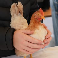 SnoezelFarm