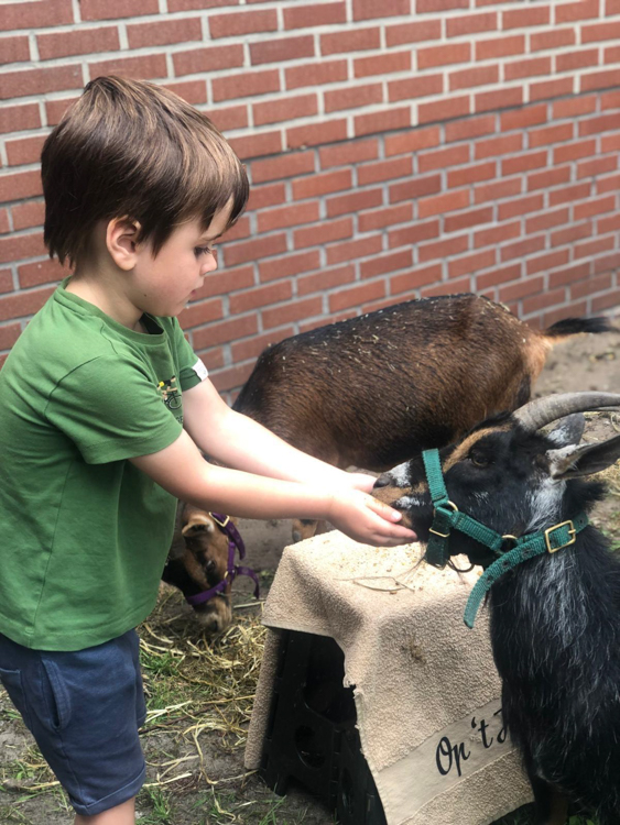 Kinderboerderij