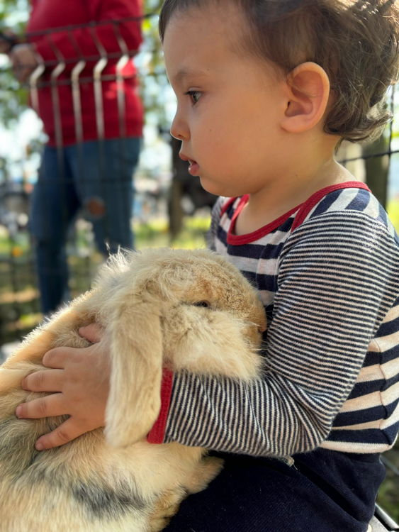 Kinderboerderij